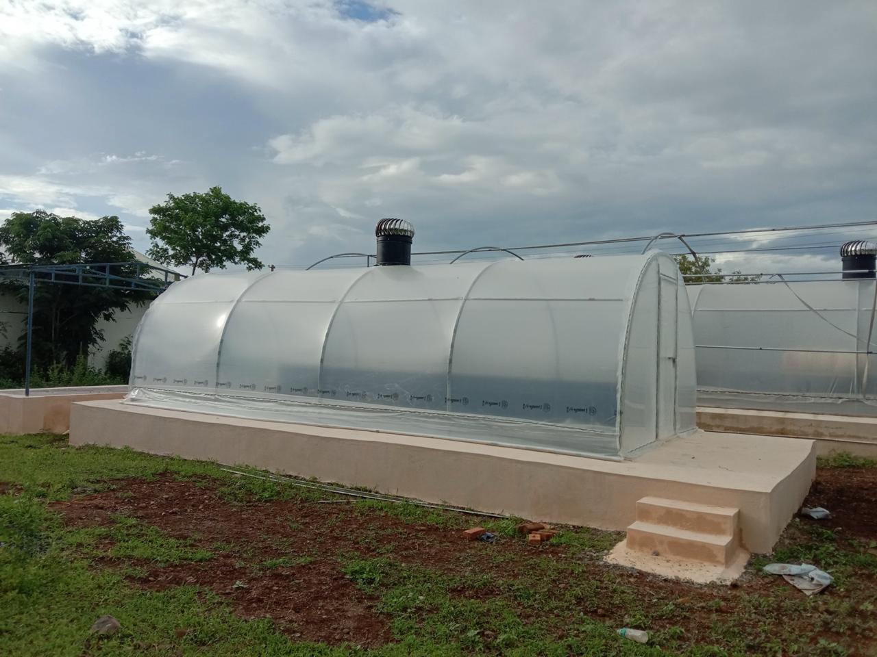 Solar Tunnel Dryer