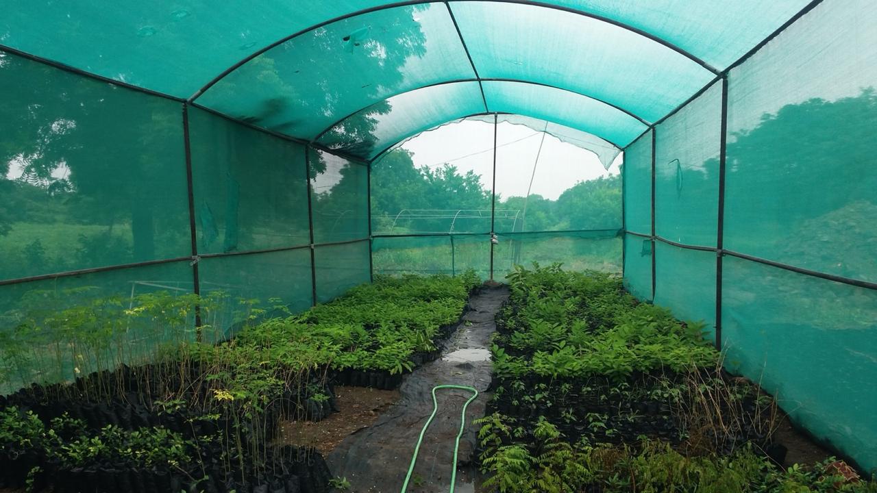 Greenhouse Projects