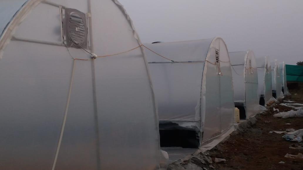 Solar Dryer Projects